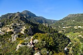 Spanien, Andalusien, Costa del Sol, Provinz Malaga, Landschaft um Casares