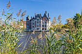 Frankreich, Loiret, Loiretal, La Bussière, Schloss La Bussière