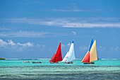 Mauritius, Stadtviertel Grand Port, Mahebourg, Regatta der mauritischen Piroggen