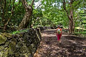 Mauritius, Bezirk Flacq, Nationalpark Bras d'Eau