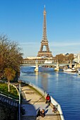 Frankreich, Paris, die Ufer der Seine, die von der UNESCO zum Weltkulturerbe erklärt wurden, die Ufer der Seine, die Insel Cygnes (Gänseinsel), der Eiffelturm und die Brücken Bir hakeim und Ruelle