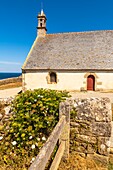 Frankreich, Finistère (29), Cornouaille, Cléden-Cap-Sizun, Pointe du Van, Diese felsige Landzunge westlich von Cap Sizun schließt den Norden der Baie des Trépassés ab, deren Süden durch die Pointe du Raz abgeschlossen wird