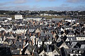 France, Indre et Loire, Loire valley listed as World Heritage by UNESCO, Tours,aerial view of the old Tours and the Faculty of Letters