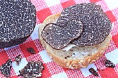 France, Correze, Causses, slices of black truffles (Tuber Melanosporum) with bread and truffle butter