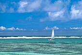 Mauritius, Bezirk Flacq, Strand von Quatre Cocos