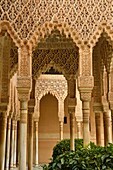 Spain, Andalusia, Granada, the Alhambra Palace, listed as World Heritage by UNESCO, built between 13th and 14th century by the Nasrides dynasty, islamic architecture, the Nasrides Palace, Patio de Los Leones (Court of the Lions)