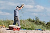 Frankreich, Somme, Baie de Somme, Le Crotoy, Fischer beim Entkörnen der Meerfenchelernte in der Baie de Somme