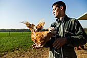 France, Essonne, Saclay plateau, Bievres, Charles Monville, organic poultry farmer