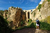 Spain, Andalusia, Malaga Province, Ronda, white villages road (Ruta de los Pueblos Blancos), perched village on a rocky spur and the Puente Nuevo (New Bridge)