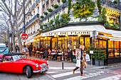 Frankreich, Paris, Stadtteil Saint Germain des Près, das Cafe de Flore zur Weihnachtszeit