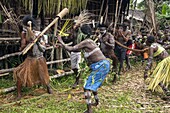 Indonesia, Papua, Asmat district, Per village, pole ceremony