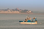 France, Somme, Baie de Somme, Le Crotoy, Exit of fishermen from the port of Hourdel in Baie de Somme, view of Le Crotoy, across the bay in the background