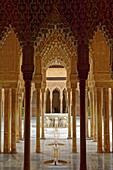 Spain, Andalusia, Granada, the Alhambra Palace, listed as World Heritage by UNESCO, built between 13th and 14th century by the Nasrides dynasty, islamic architecture, the Nasrides Palace, Patio de Los Leones (Court of the Lions)