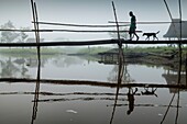 Papua-Neuguinea, Ost-Sepik-Provinz, Sepik River Region, Bezirk Angoram, Dorf Lol, Brücke über den Fluss