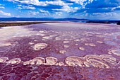 Kenia, Magadi-See, Rift Valley, Soda (Luftaufnahme)