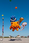 France, Somme, Baie de Somme, Cayeux-sur-mer, Festival of kites along the path of boards and beach huts