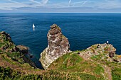 France, Ille et Vilaine, Cote d'Emeraude (Emerald Coast), Plevenon, the Cap Frehel, Fauconniere sandstone rock where thousands of birds live together