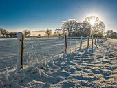 France, Chevreuse High Valley Regional Natural Park, winter landscape near Les Mesnuls