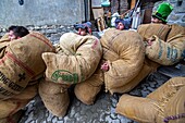 Switzerland, Valais, Evolene valley, Evolene, Carnaval with the Empailles and the Peluches who come from Pagan rites and go around the villages to frighten the bad spirits of winter