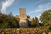 Frankreich, Loiret, Loiretal, von der UNESCO zum Weltkulturerbe erklärt, Germigny-des-Prés, Kirche von Très-Sainte-Trinité