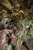 Ecuador, Galapagos-Archipel, von der UNESCO als Weltnaturerbe eingestuft, Insel Santa Cruz, Reservat El Chato, Wanderer durchqueren einen Lavatunnel