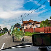 Romania, Judet d'Arges, Berevoiesti, child in a cart on the road