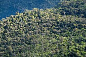 Mauritius, Bezirk Savanne, Nationalpark Black River Gorges, Panorama vom Aussichtspunkt der Straße Plaine Champagne