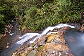 Mauritius, Bezirk Savanne, Nationalpark Black River Gorges, Alexandra-Wasserfälle