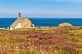 Frankreich, Finistère (29), Cornouaille, Cléden-Cap-Sizun, Pointe du Van, Diese felsige Landzunge westlich von Cap Sizun schließt den Norden der Baie des Trépassés ab, die im Süden von der Pointe du Raz begrenzt wird