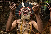 Papua New Guinea, Eastern Highlands Province, Goroka, Bena tribe, man wearing body decoration during Neheya initiation called Dring Kol Wara (Drink Cold Water) during when mean swallow cane