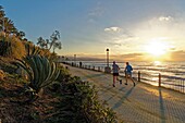 Spain, Andalusia, Costa del Sol, Malaga Province, Marbella, seafront along the beach