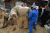 Switzerland, Valais, Evolene valley, Evolene, Carnaval with the Empailles and the Peluches who come from Pagan rites and go around the villages to frighten the bad spirits of winter