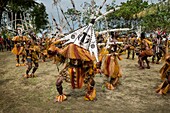 Papua New Guinea, Gulf Province, Toare Village, traditional festival called sing-sing, Pipi Mask and Ehore Cultural group