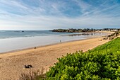 France, Ille et Vilaine, Cote d'Emeraude (Emerald Coast), Saint Malo, Mihinic beach