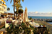 Spain, Andalusia, Costa del Sol, Marbella, Puerto Banus