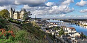 France, Maine Et Loire, Loire-Anjou-Touraine Reginal Natural Park, Saumur, Saumur Castle in front of Loire river