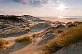 Frankreich, Somme, Baie de Somme, Fort-Mahon, die Dünen von Marquenterre, zwischen der Baie d'Authie und der Baie de Somme