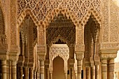 Spain, Andalusia, Granada, the Alhambra Palace, listed as World Heritage by UNESCO, built between 13th and 14th century by the Nasrides dynasty, islamic architecture, the Nasrides Palace, Patio de Los Leones (Court of the Lions)