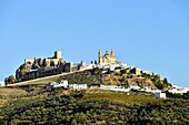 Spain, Andalucia, Cadiz province, white village of Olvera, the Church of Our Lady of the Incarnation and the Arabic fortress