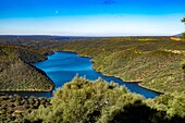 Spain, Extremadura, Monfragüe national park, embalse de Torrejon-Tajo