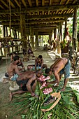 Papua-Neuguinea,Provinz Ost-Sepik,Region Sepik-Fluss,Dorf Kanganamun,Haus der Geister (Haustambaran) namens Walimbi,Zubereitung eines Krokodils (Crocodylus novaeguineae)