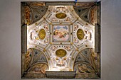 Italien,Venetien,Vicenza,Piazza Matteotti,Museo civico di Palazzo Chiericati,erbaut 1551 von Palladio,von der UNESCO zum Weltkulturerbe erklärt,Saal des Rates der Götter