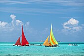 Mauritius,Stadtviertel Grand Port,Mahebourg,Regatta der mauritischen Piroggen