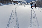 France, Pyrenees Atlantiques, Gourette ski resort (locality of the commune of Eaux-Bonnes),