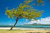 Mauritius,Bezirk Flacq,Strand von Quatre Cocos