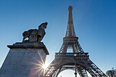 France, paris, district of the Eiffel tower listed as World Heritage by UNESCO, the Eiffel tower and statue representing a gallic horse rider on the Iena bridge