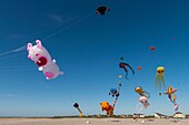 France, Somme, Baie de Somme, Cayeux-sur-mer, Festival of kites along the path of boards and beach huts