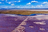 Kenia,Magadi-See,Rift Valley,Soda (Luftaufnahme)