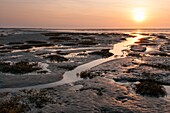 Frankreich,Somme,Baie de Somme,Le Crotoy,Sonnenuntergang,Streiflicht hebt die von der Ebbe entdeckten Reliefs auf dem Boden der Bucht hervor