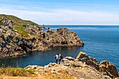 Frankreich,Finistère (29),Cornouaille,Plogoff,Pointe du Raz,felsige Landzunge,die den westlichsten Teil von Kap Sizun bildet,mit Blick auf die Iroise